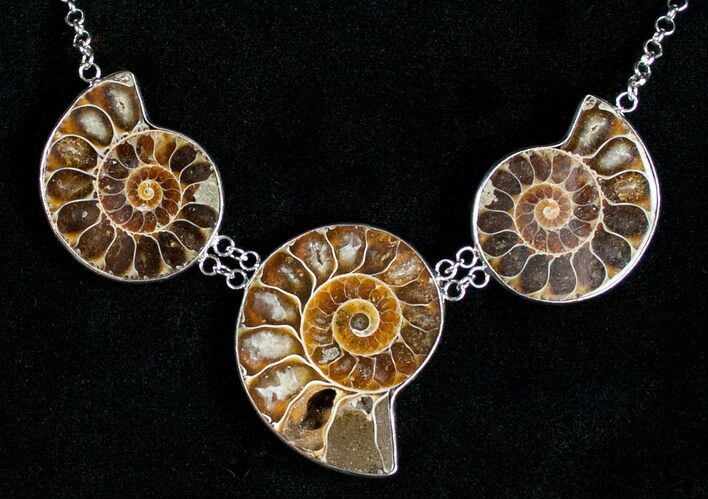 Triple Ammonite Necklace - Million Years Old #11903